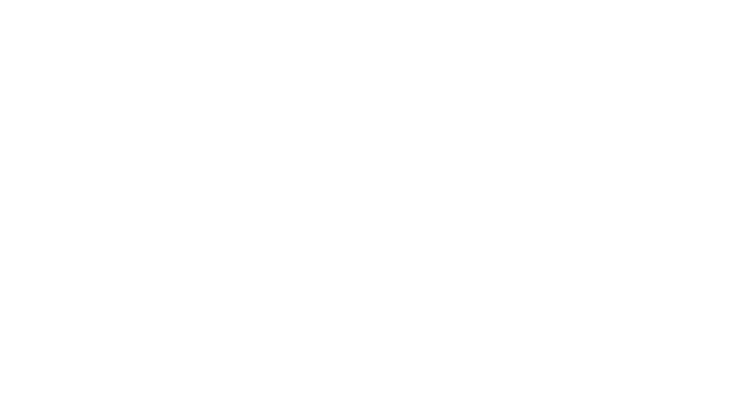 STAKE F1 TEAM